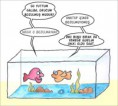 Balıklar Çabuk Unutur.